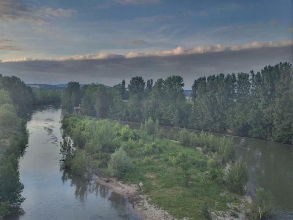Moulin D'Albias Aux Portes De Montauban エクステリア 写真